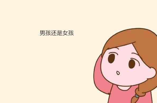 胎儿的性别是什么时候形成的？医生很少说，但父母自己心里要有数