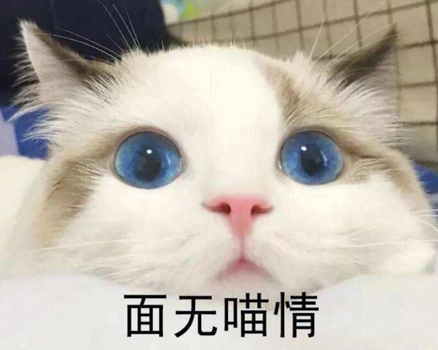 爸爸姓甄，给女儿取名太幽默，上户口时工作人员笑得肚子疼
