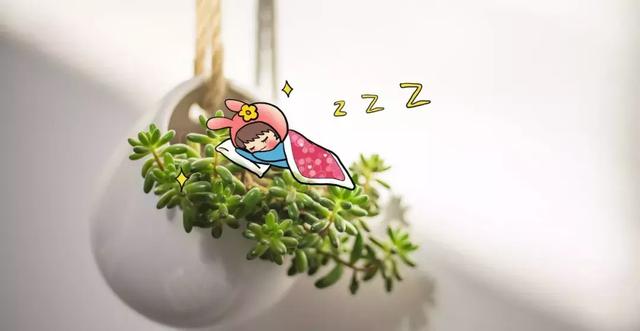 三伏天来了，孩子在这个时间睡觉，身高和智商都高！爸妈必看