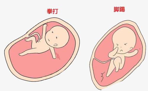 准爸爸和准妈妈吵架，胎宝宝是什么反应？几张图告诉你，萌翻了