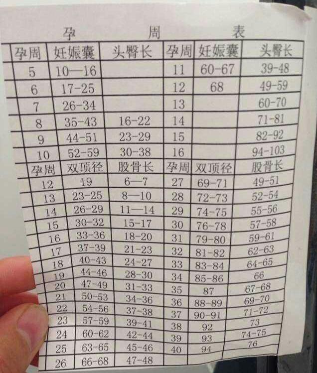 怀孕各个时期，如何通过B超看胎儿的大小？准妈妈需要注意这3点