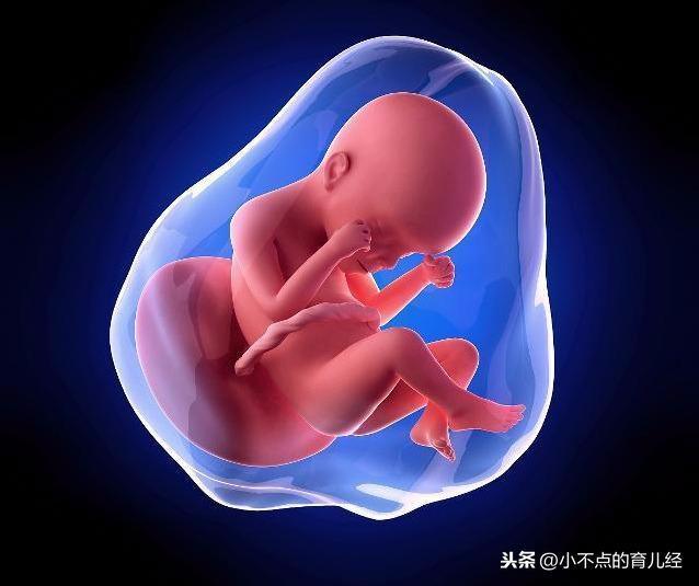 胎儿一直待在羊水里，为什么发育这么好？羊水的3点作用很重要