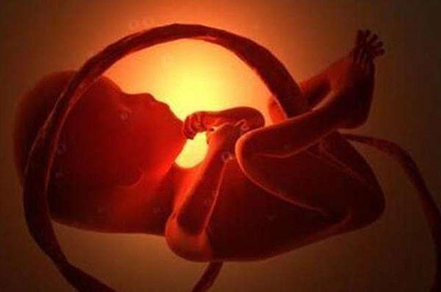 怀孕5个月，肚子总是“砰砰砰”的响，可能是胎宝宝在做这件事