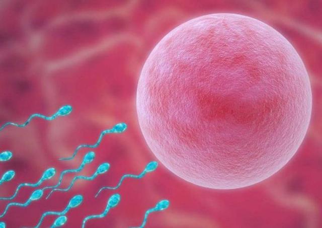 如今有很多夫妻要不上孩子，其中有3个原因，既现实又无奈