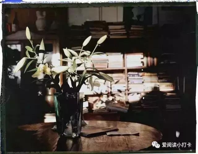 三个真实的案例告诉你，孩子是如何爱上阅读的