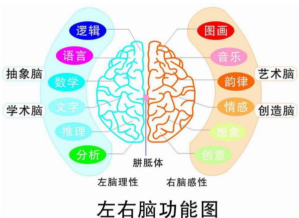 早期教育会给孩子带来什么好处