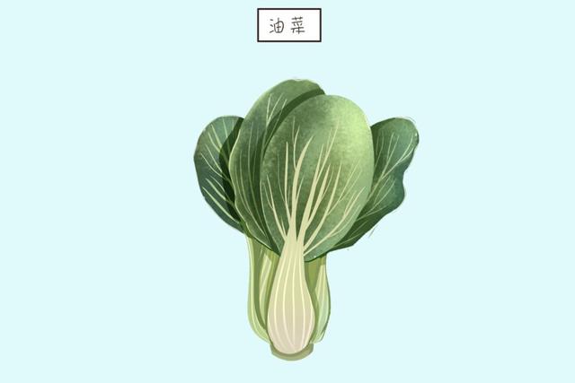 ?1岁宝宝除了喝牛奶，多搭配吃这几种蔬菜，能促进骨骼更好生长
