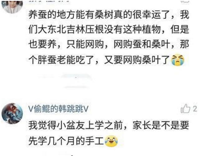 那些年，被幼儿园作业逼到泪奔的家长们，网友：那胖蚕老能吃了