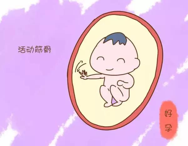孕妈妈绝对想不到，胎宝宝在子宫里每天究竟忙什么