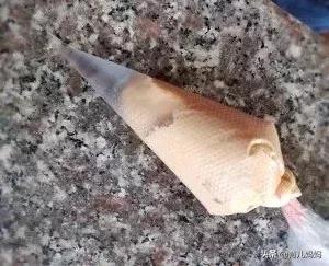 辅食推荐时间——什锦蔬菜瘦肉疙瘩面