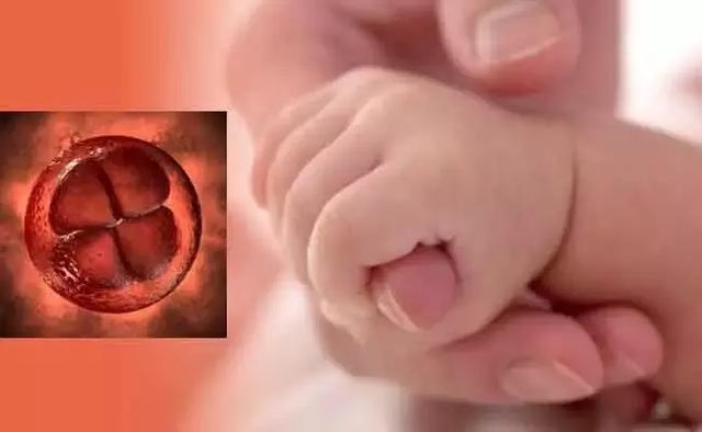 有过流产、胎停育或畸形儿，做到这几步怀上健康宝宝