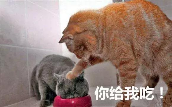 孩子生病了怎么吃好得快？照着做，恢复速度快一倍