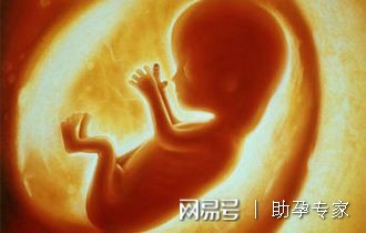 谈虎色变的“胎停育”你该了解哪些？