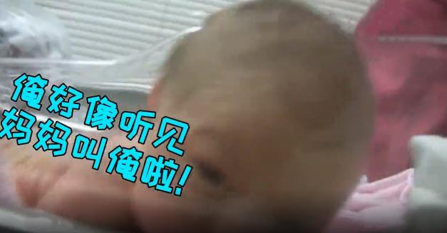 出生五天的新生儿听到呼唤，竟爬起来找妈妈，网友：心被暖化了