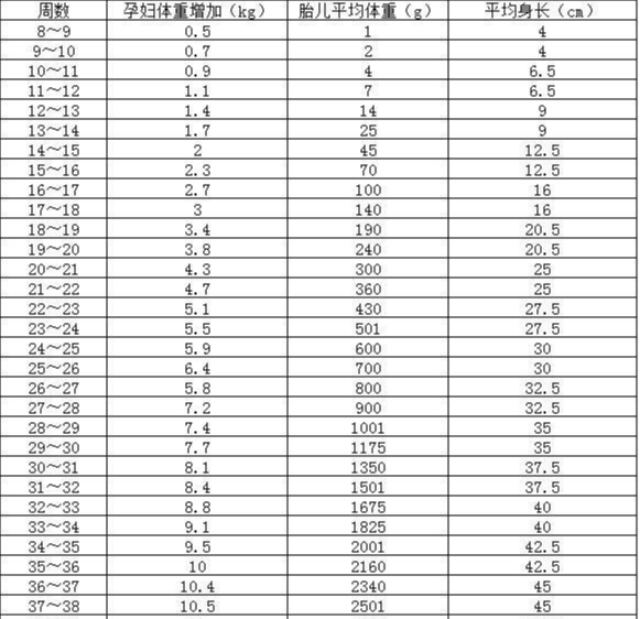 胎儿最后一个月会长多少斤？