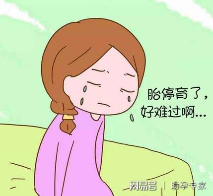谈虎色变的“胎停育”你该了解哪些？