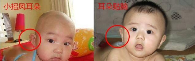 脸颊两侧有它的孩子，性格叛逆，难听父母的话