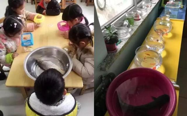 被幼儿园作业“逼疯”的家长，家长们纷纷吐槽：这是锻炼我们吧？
