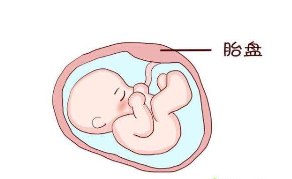 生完孩子的“胎盘”该带回家还是留医院？听听这标准的答案
