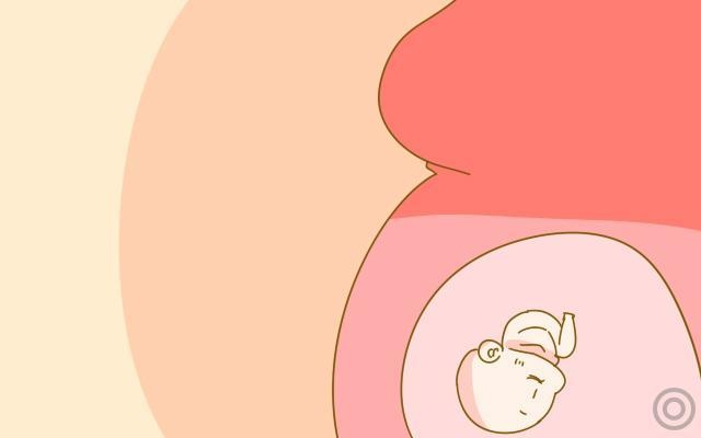 妻子才怀孕3个月，肚子却大如6个月？先别慌，可能是这4个原因