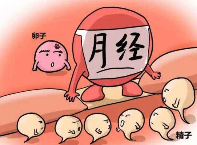 备孕怀不上？原来一碰就怀孕的人，都是这样的