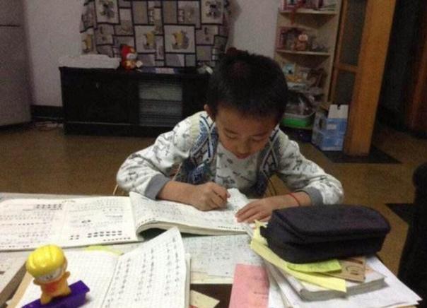 董卿：若你有外孙，尽量逼孩子读这几本书，胜过花一万块上补习班