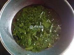 催乳食谱——杂蔬鲜菇素菌汤