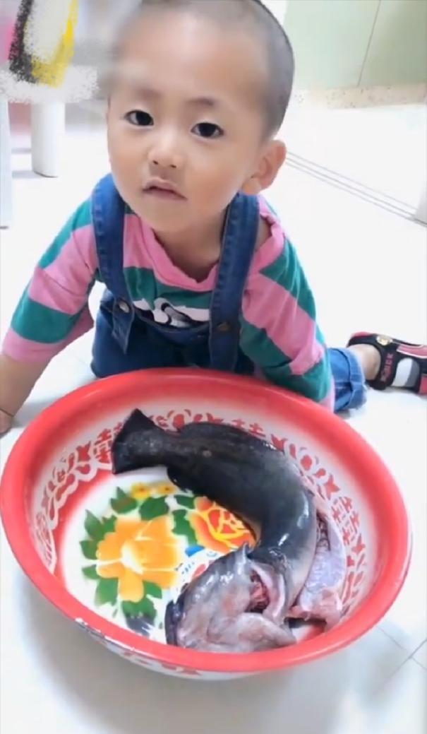 2岁宝宝看到要被吃的鱼狂道歉，妈妈：孩子连说半个小时对不起