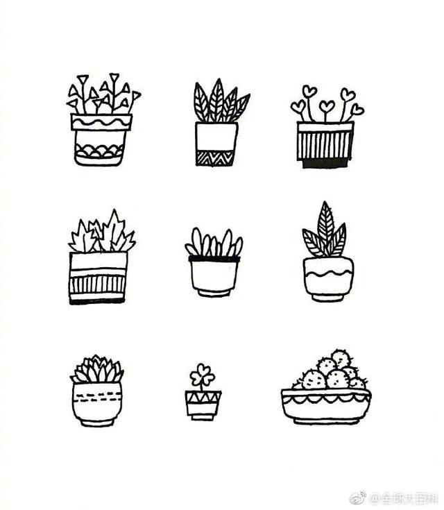幼儿园园长分享：花草简笔画，收藏吧！宝宝每天一学，头脑更灵活