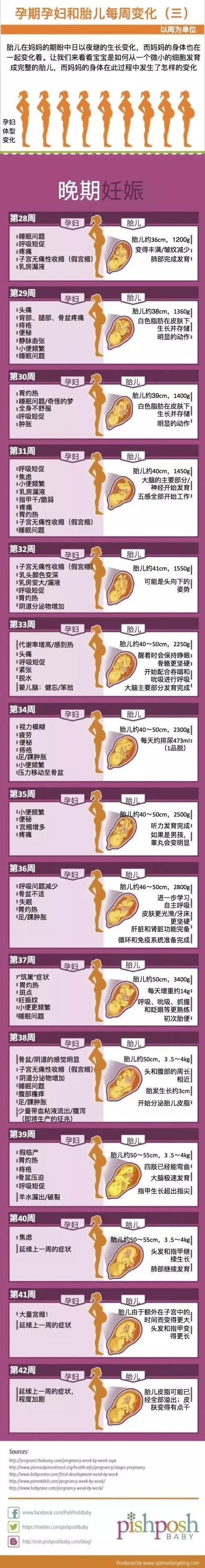 一组图展示0-42周孕妇和胎儿的变化，竟会经历这么多