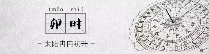 胚胎学家十二时辰是怎么样的？