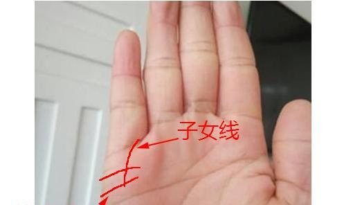手掌中这条线分叉，头胎会生双胞胎，一般人都没有
