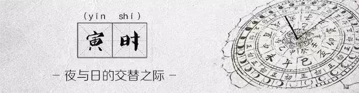胚胎学家十二时辰是怎么样的？