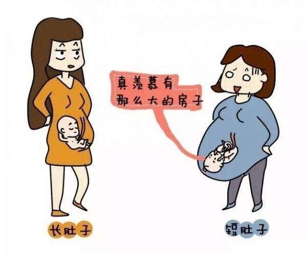 孕期过半，肚子还很小多半是因为一下几个原因