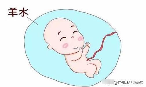 羊水破了怎么办？