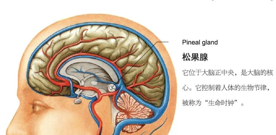 千万别开着灯睡觉！