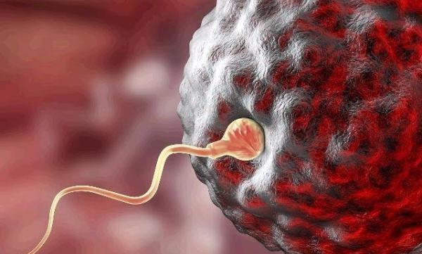 备孕：想要提高受孕率？教你这5个小办法，让怀孕不再是难事