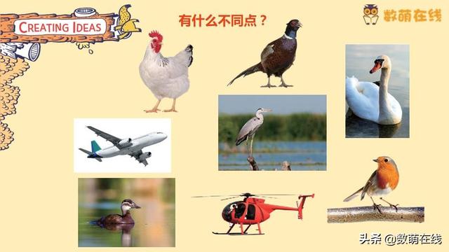 锻炼孩子观察力，关键是5-9岁，多数人都错过了，才泯然众人矣
