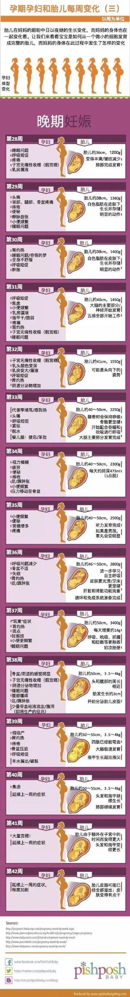 一图读懂：不同孕期，孕妇和胎儿的变化，很直观哦！太神奇了！