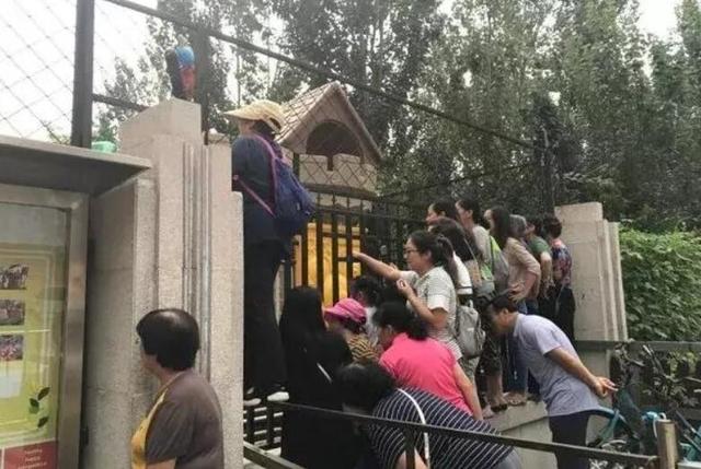 三岁男孩不会吃饭，家长要求幼儿园老师一对一，引来众家长发声