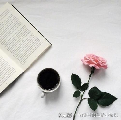 输卵管这个“老司机”，如何才能顺利送走受精卵？