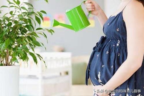 孕期准妈妈养花有禁忌：这五种花再好看名贵，也不要摆放在家中