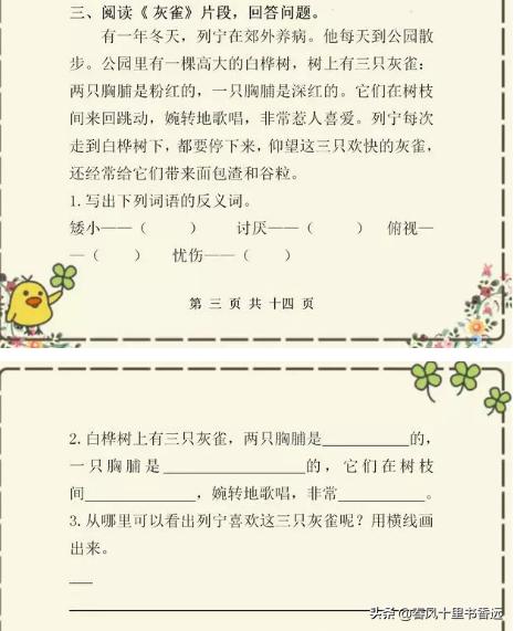 人教版：三年级课外阅读专项训练，语文考100的孩子都在做