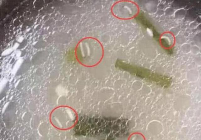 老师在群里“秀午餐”，家长一眼看去恶心反胃，不投诉你算你赢