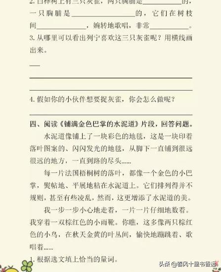人教版：三年级课外阅读专项训练，语文考100的孩子都在做