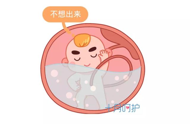 不敢相信，胎宝宝在肚子里的屎和尿，是这么处理的！还真有点恶心