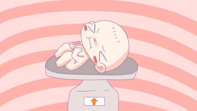 新生宝宝越重越聪明？哈佛专家却不这么认为，这些知识孕妈得知道