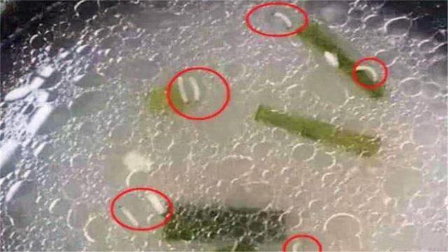 老师在群里发幼儿园午餐，眼尖的家长发现&quot;猫腻&quot;，群里炸开锅