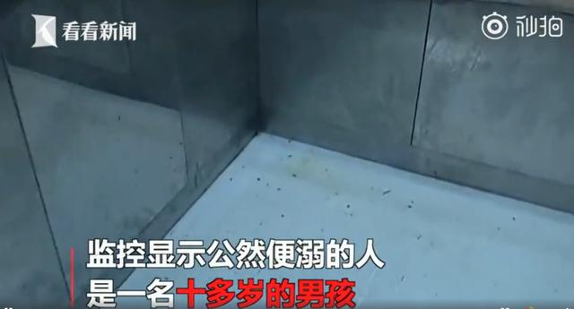 孩子憋不住，就可以随地大小便？造成影响比我们想象严重