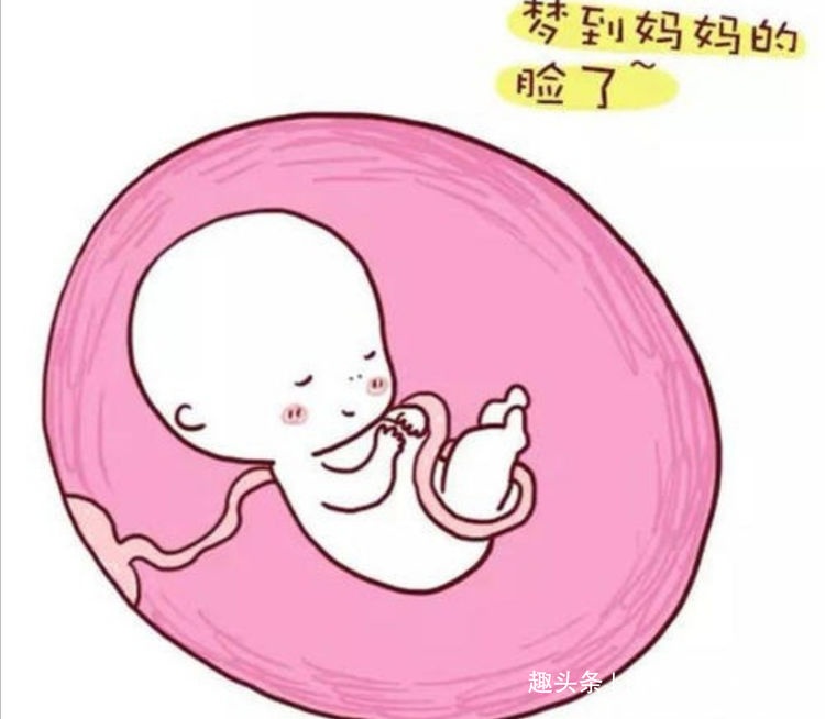 孕7月，胎儿在每周发育有何特点？有个有趣现象孕妈妈不要错过